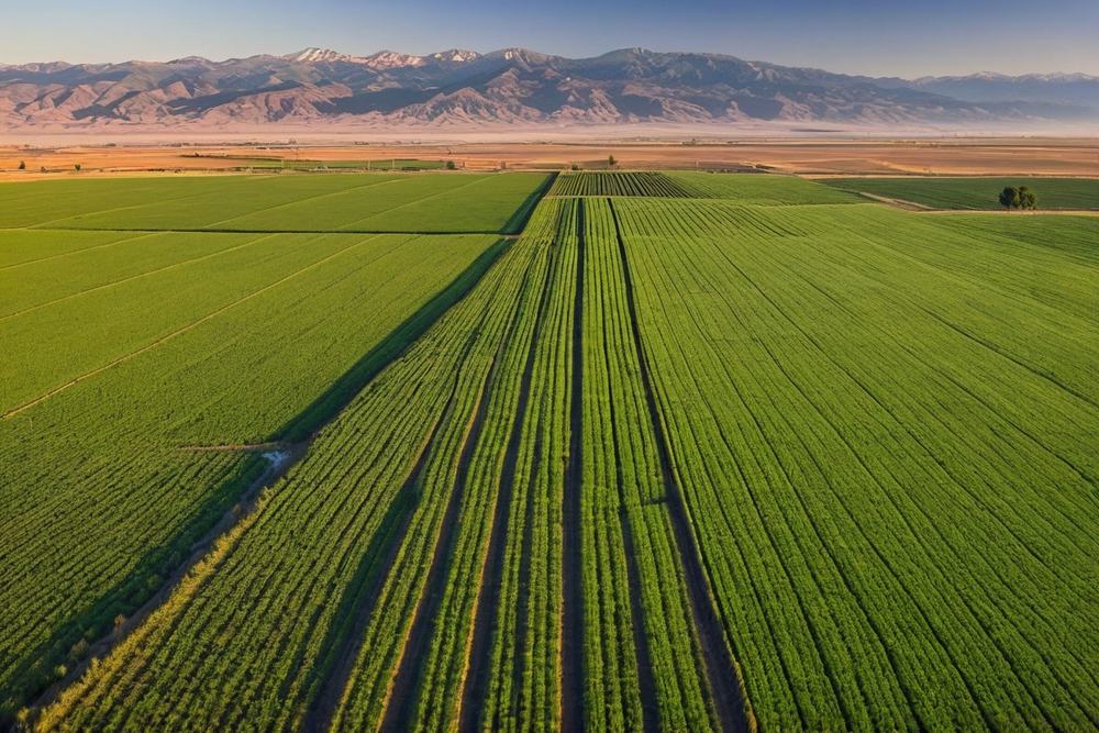 Irrigated farmland and open valley at dawn in southern Idaho